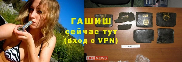 гашик Алексин