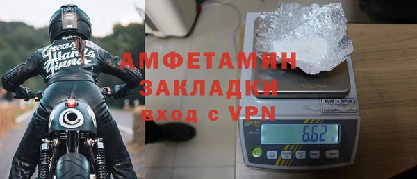гашик Алексин
