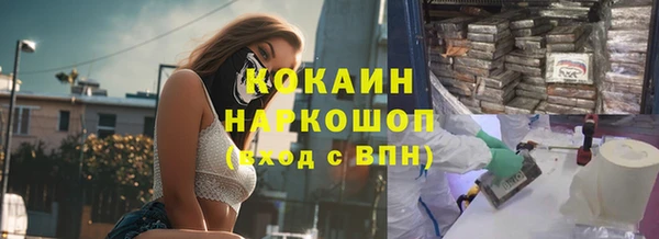 гашик Алексин