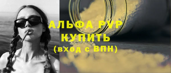 гашик Алексин