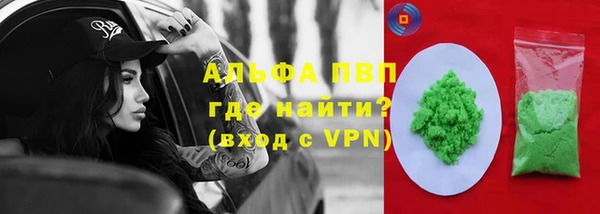 гашик Алексин