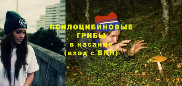 гашик Алексин