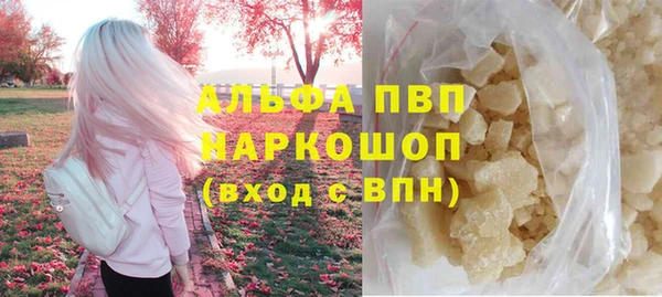 гашик Алексин