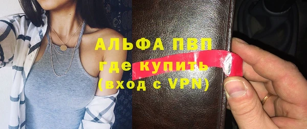 гашик Алексин