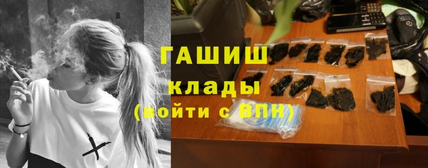 гашик Алексин